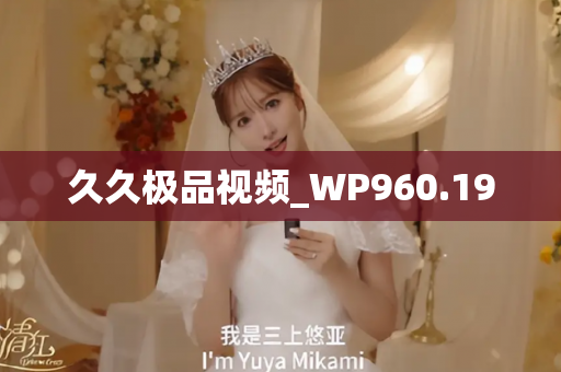 久久极品视频_WP960.19