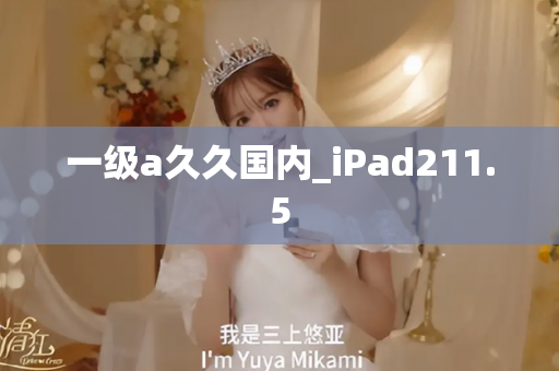 一级a久久国内_iPad211.5