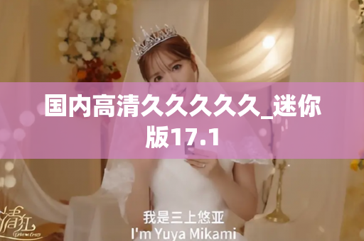 国内高清久久久久久_迷你版17.1
